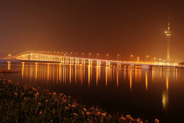 Macau TAipa Bridge Macau Taipa Bridge at Night